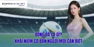 bóng đá là gì? khái niệm cơ bản người mới cần biết