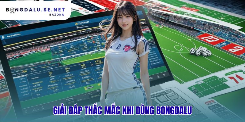 Giải đáp các thắc mắc thường gặp về ứng dụng và dữ liệu