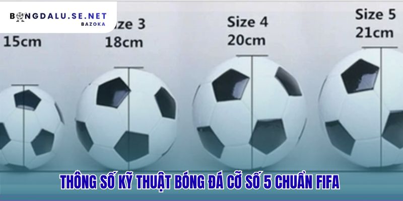 Thông số kỹ thuật giải thích quả bóng đá tiêu chuẩn có gì đặc biệt